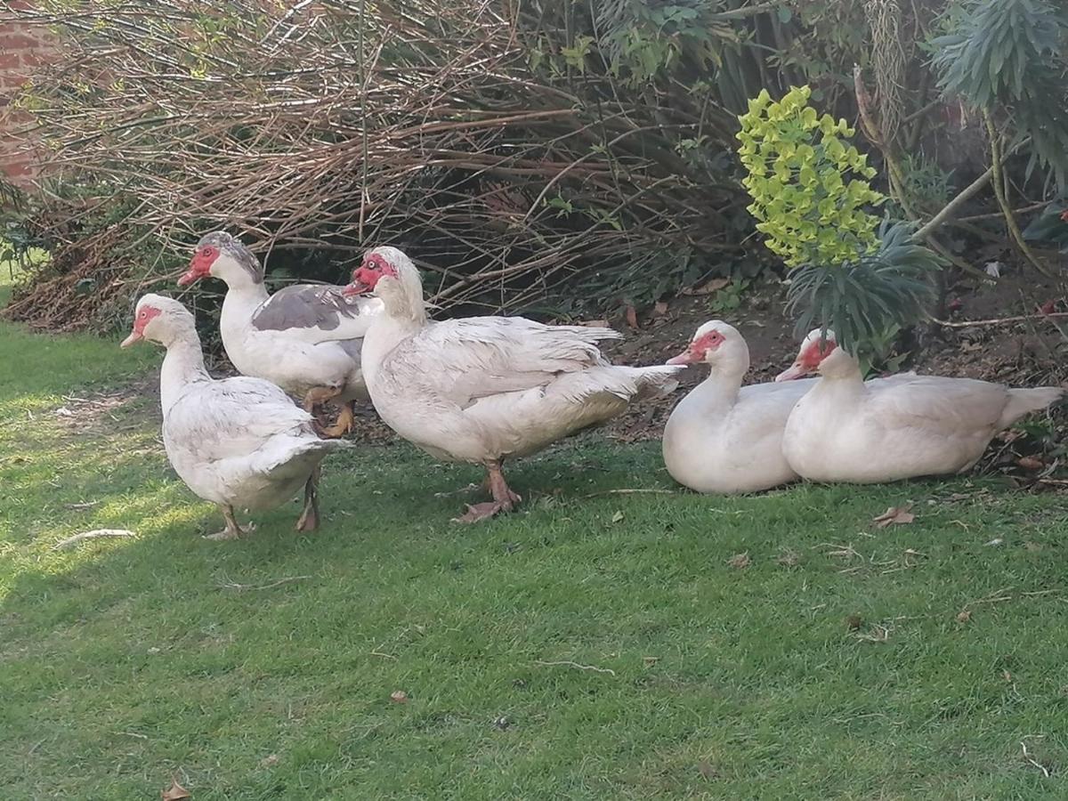 Clumber Lane End Farm 4* Worksop